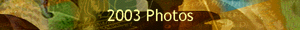 2003 Photos